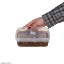 عسل طبیعی و ارگانیک موم دار پارمیس - ۱ کیلوگرم