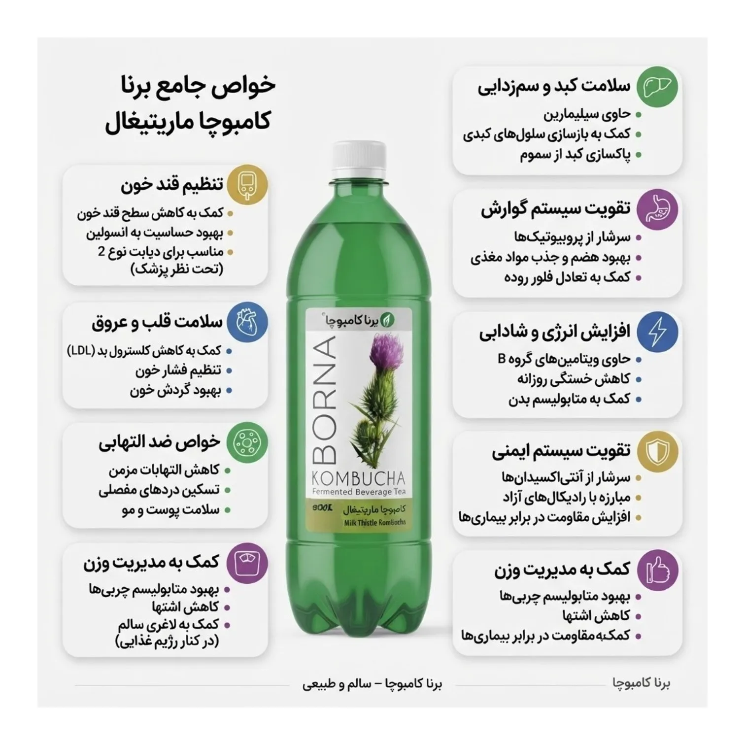 شربت کامبوجا ماریتیغال - ۱ لیتر