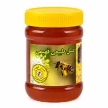 عسل طبیعی گون فهیمی - 480 گرم