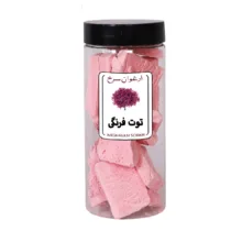 بستنی خشک طالبی ، شکلات ، توت فرنگی ، انبه ارغوان سرخ - 500 گرم بسته 4 عددی