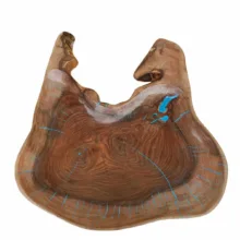 میوه‌خوری چوبی مدل d553