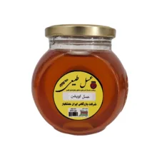 عسل طبیعی گیاه آویشن – 450 گرم