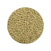 عدس پلویی دستچین کالا - 1200 گرم