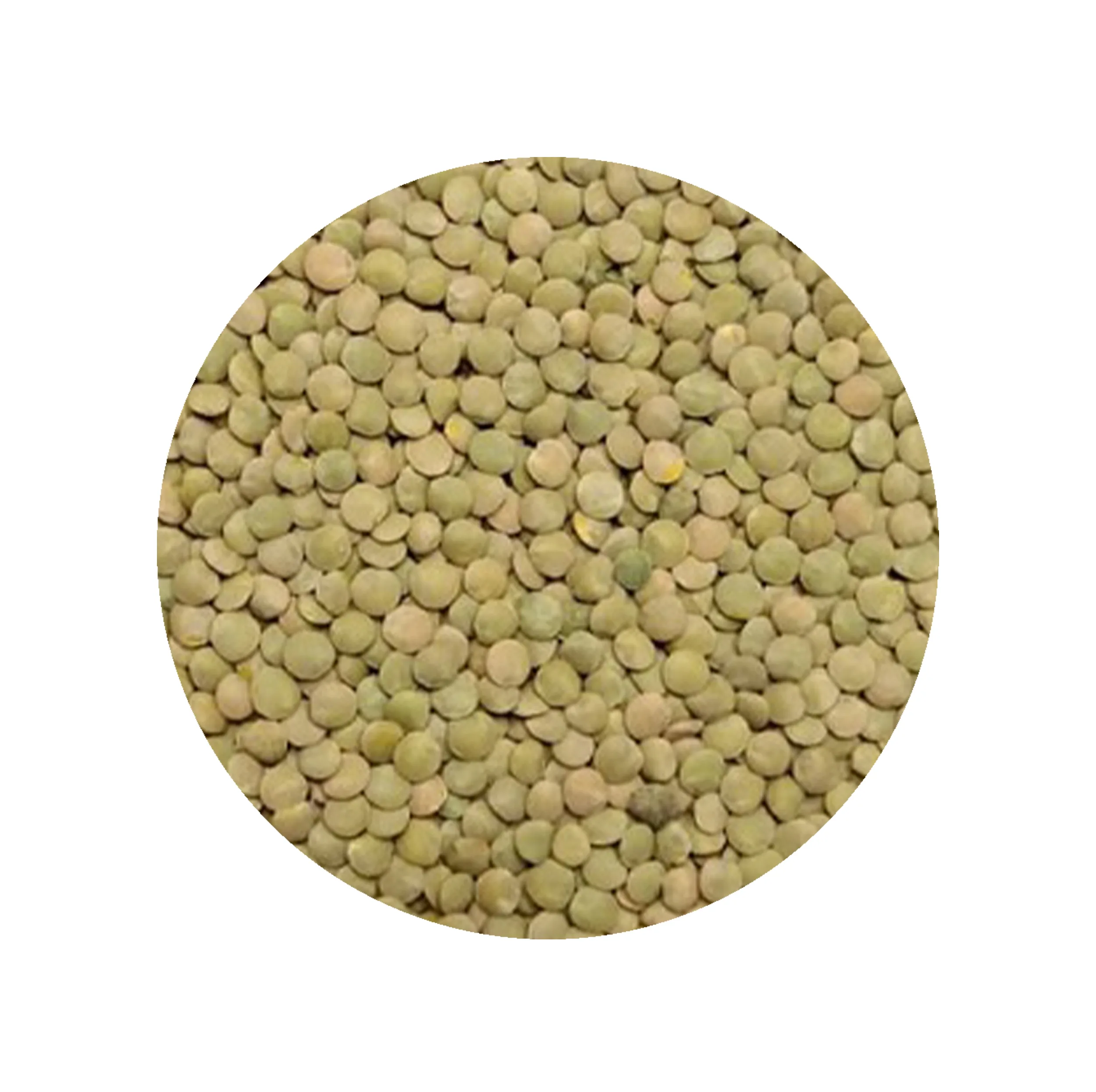 عدس پلویی دستچین کالا - 1200 گرم
