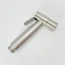 سری شلنگ توالت دینا مدل ارشک