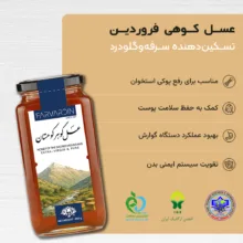 عسل طبیعی چهل گیاه کوهستان فروردین - 650 گرم