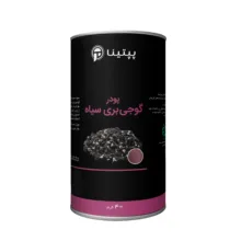 پودر گوجی بری سیاه پپتینا – 40 گرم