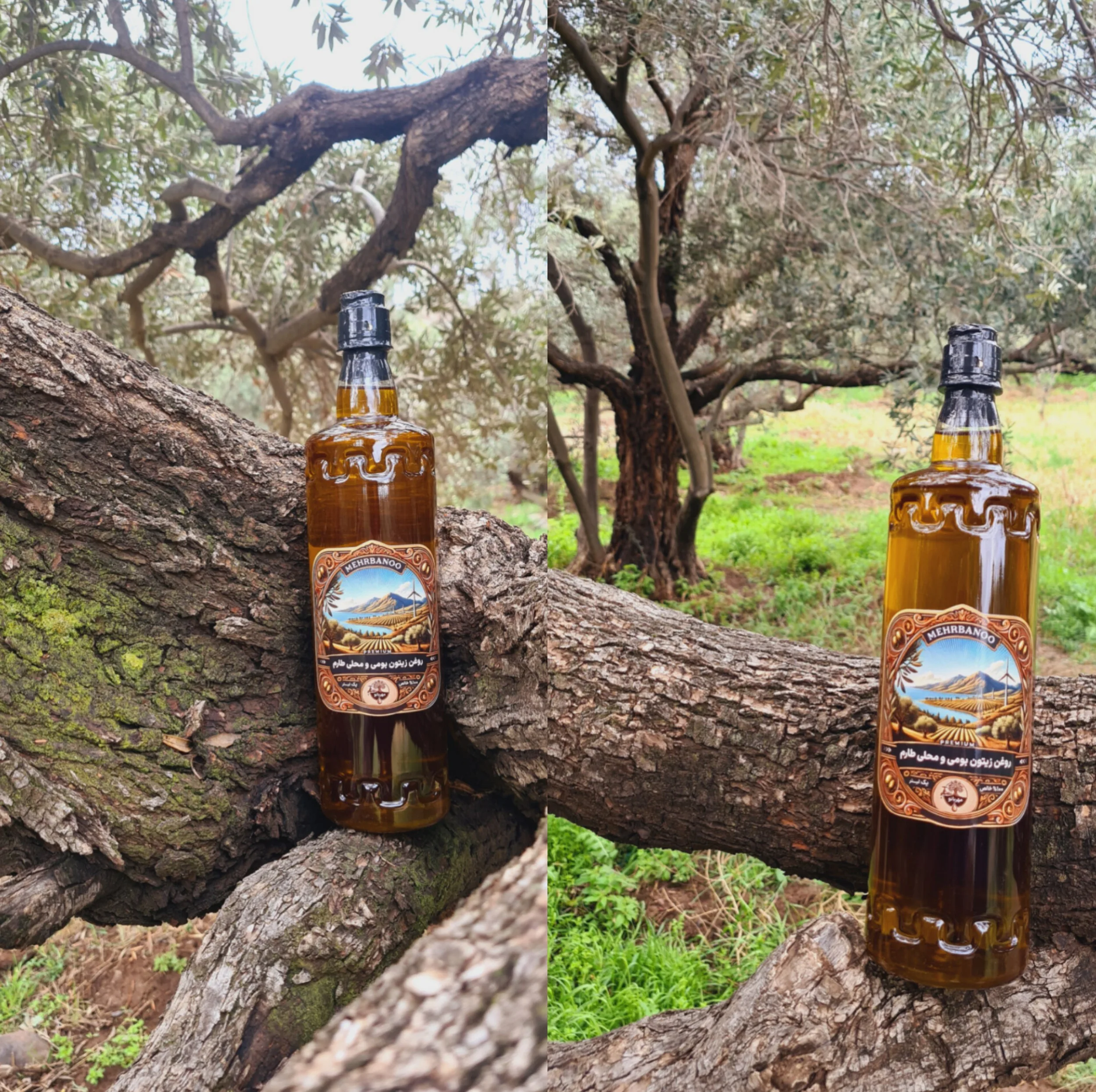 روغن زیتون فرابکر مهربانو - 950 گرم
