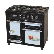اجاق گاز کابینتی پنج شعله دنپاسر مدل N203-UP
