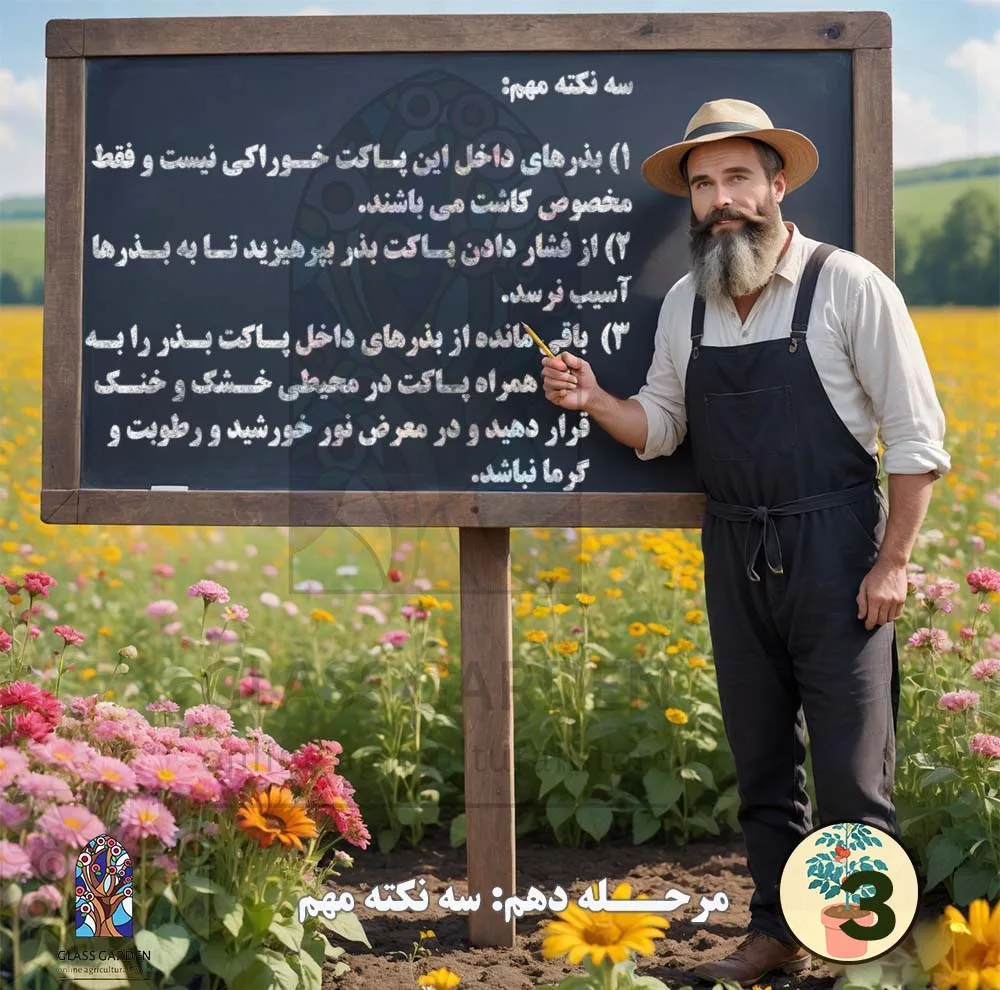 بذر کدو تنبل غول پیکر گلس گاردن مدل GL02