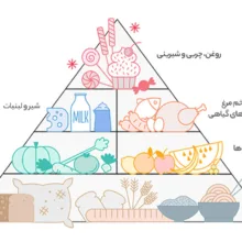 ماکارونی پروانه ای با طعم سبزیجات تک ماکارون مقدار 500 گرمی