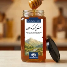 عسل طبیعی چهل گیاه کوهستان فروردین - 650 گرم