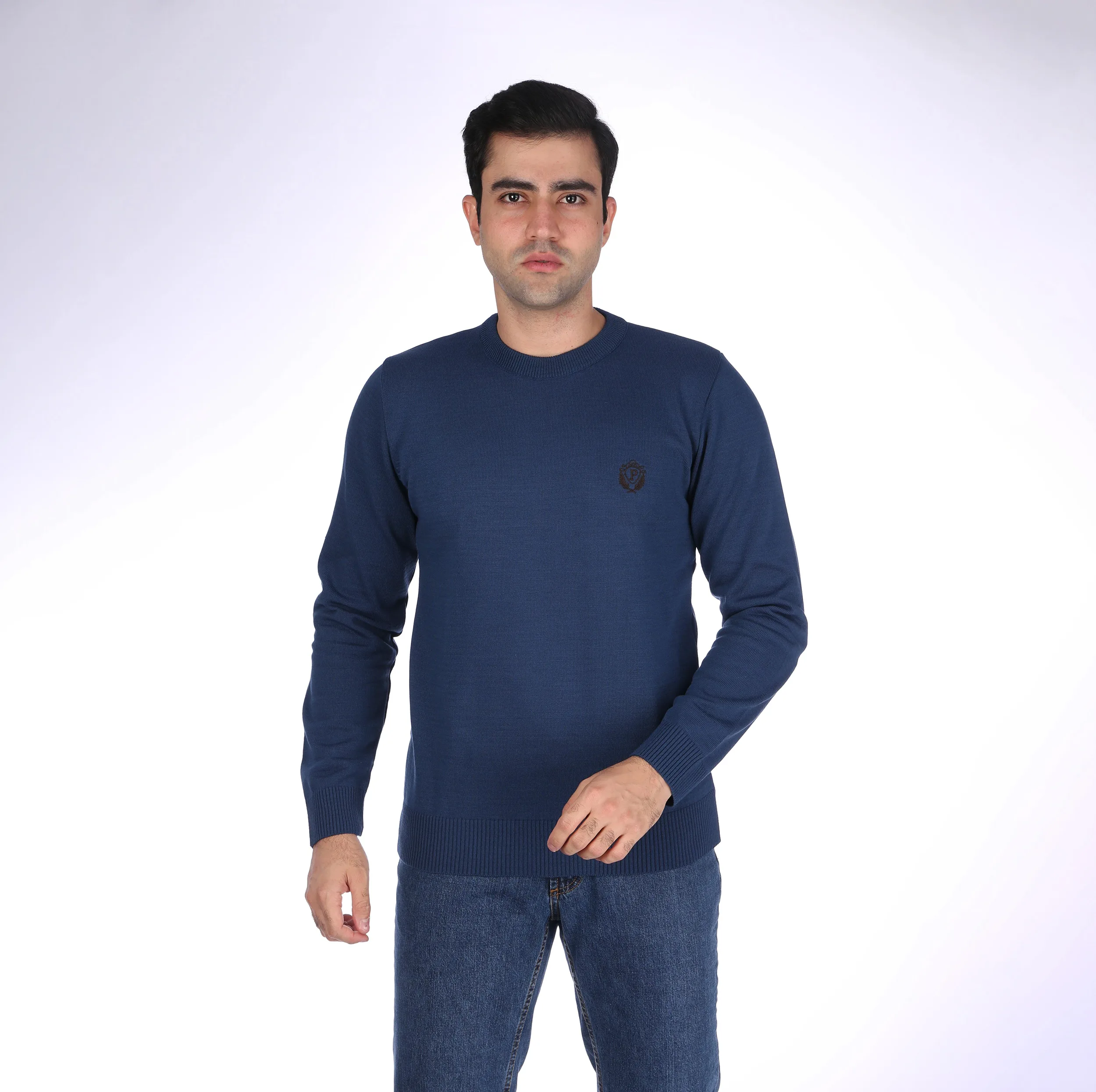 پلیور یقه گرد مردانه تریکو پاییزان مدل  PR700