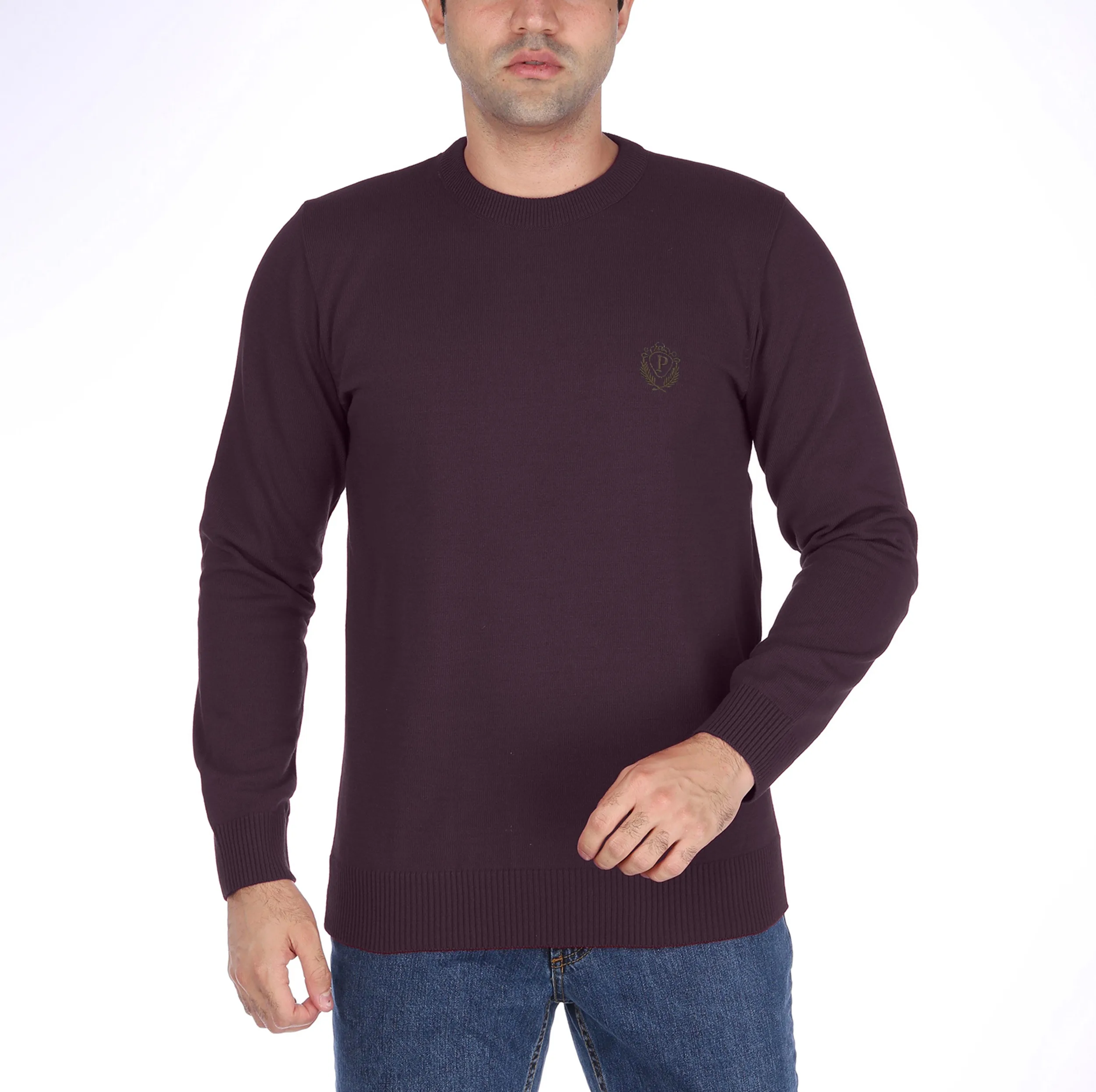 پلیور یقه گرد مردانه تریکو پاییزان مدل  PR700