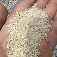 برنج نیم دانه پرمحصول زرین خوشه طبرستان - 5 کیلوگرم