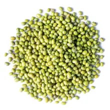 ماش سبز دستچین کالا - 600 گرم