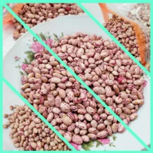 لوبیا چیتی ممتاز خوشپخت - 900 گرم