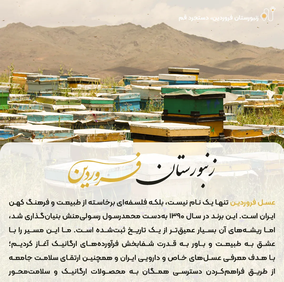 عسل طبیعی کوهی فروردین - 2000 گرم
