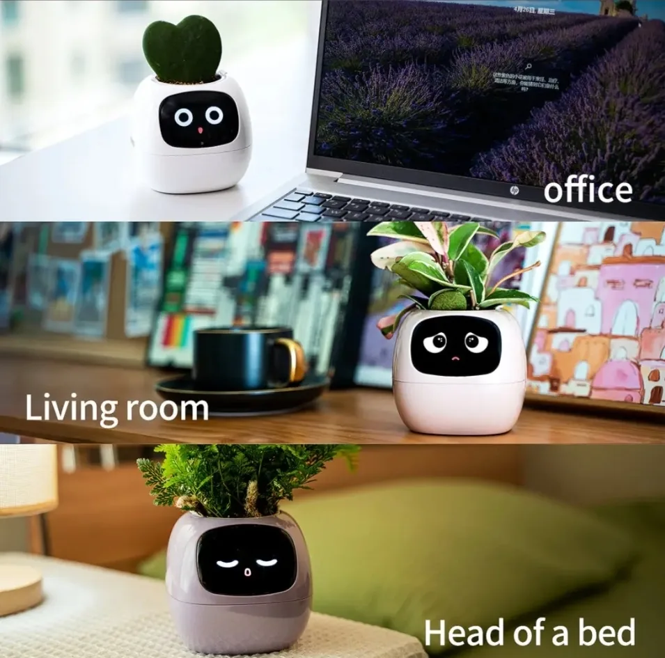 گلدان هوشمند مسدیو مدل smart Flowerpots