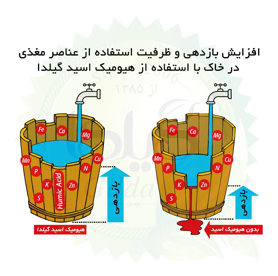 هیومیک اسید گرانول درخت و باغچه گیلدا مدل GHAG1 وزن 1 کیلوگرم
