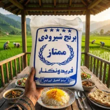 برنج شیرودی ممتاز فریدونکنار - 10 کیلوگرم