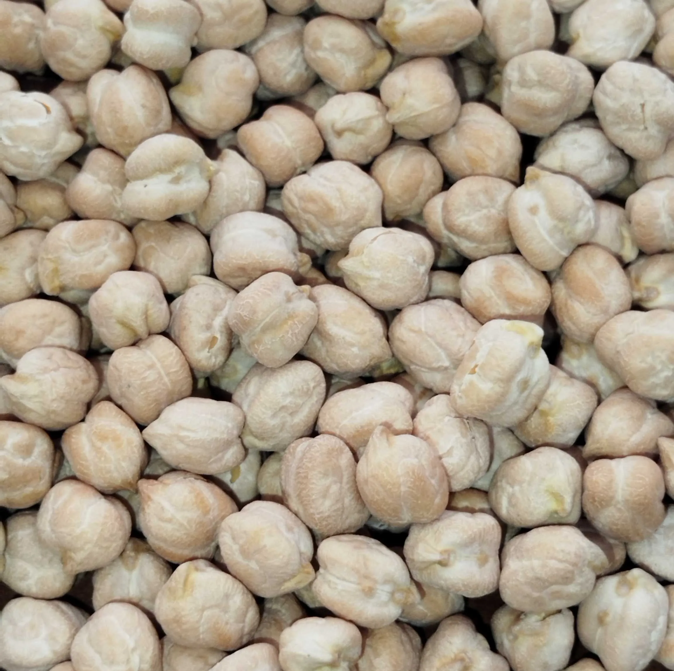 نخود کرمانشاهی کشاورز نمونه - 900 گرم