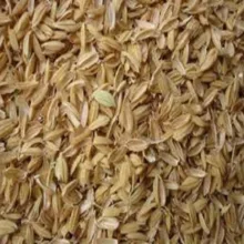 شلتوک (پوست) برنج - 100 گرم