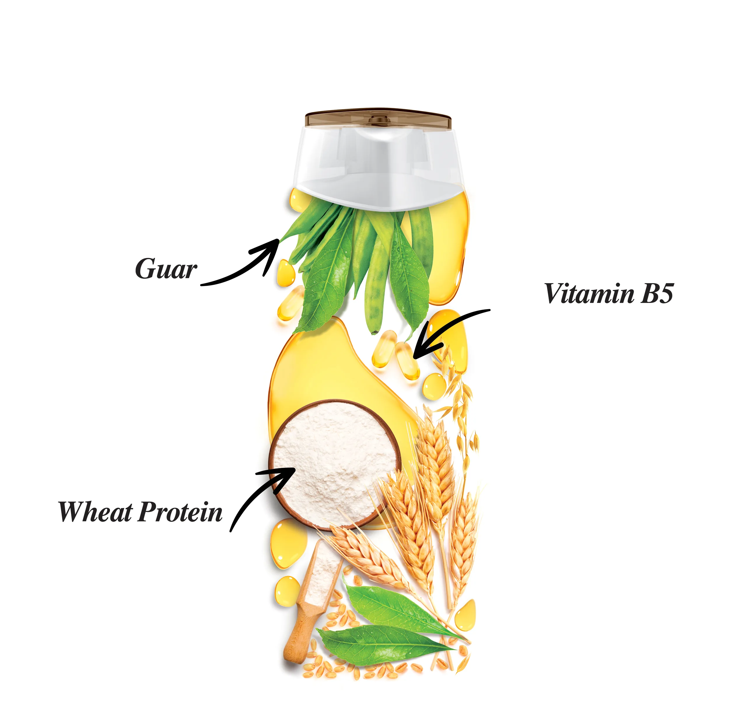 شامپو ترمیم کننده مو اکتیو مدل موهای آسیب دیده Wheat Protein حجم 350 میلی لیتر
