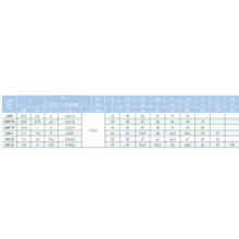 پمپ آب 1.5 اسب بخار سائر مدل CM1