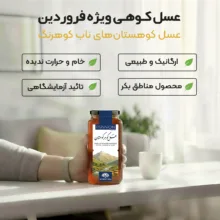عسل طبیعی چهل گیاه کوهستان فروردین - 650 گرم