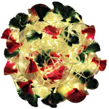 ریسه ال ای دی مدل سنتی نارگل طول 10 متری