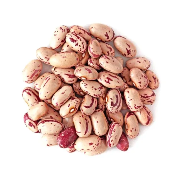 لوبیا چیتی سرزمین گلهان - 500 گرم