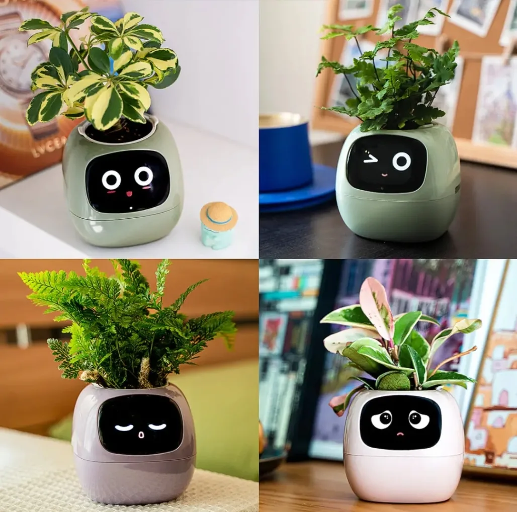 گلدان هوشمند مسدیو مدل smart Flowerpots