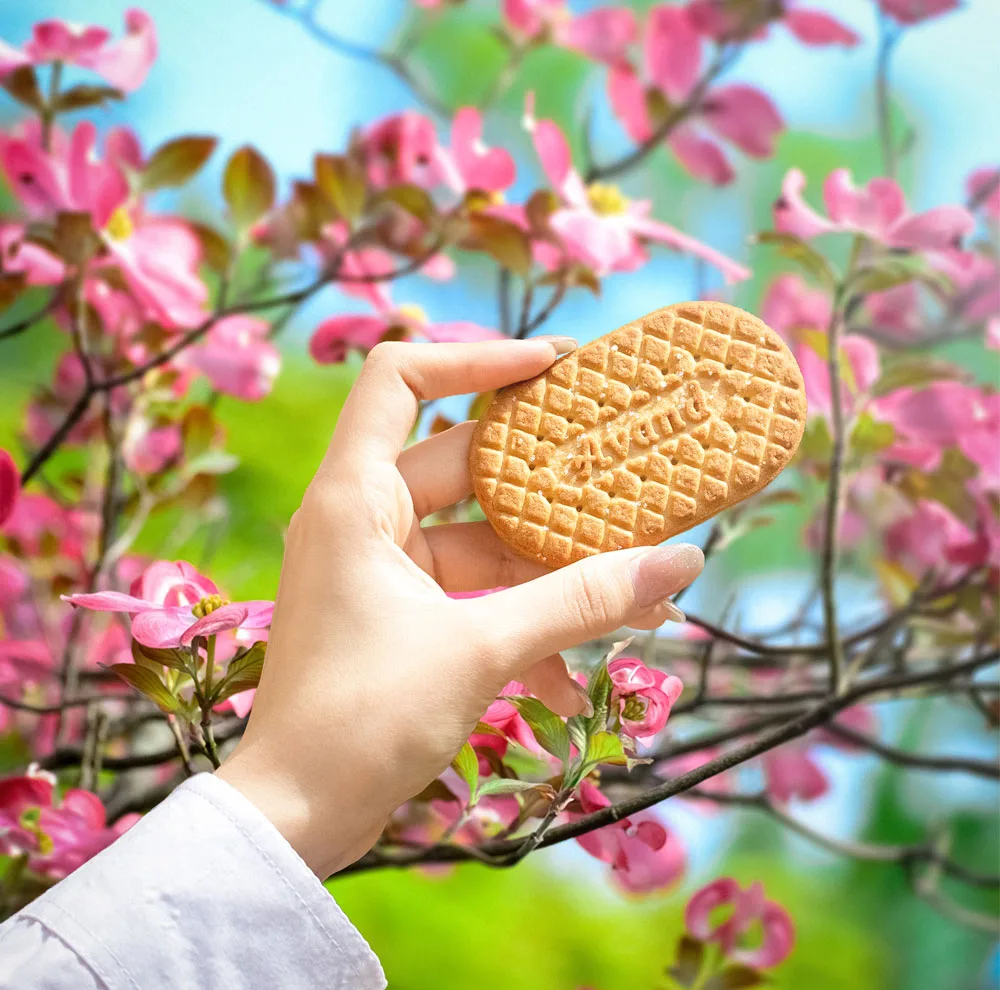 بیسکویت 400 آوند با طعم نارگیل و تزیین شکر - 360 گرم