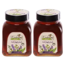 عسل طبیعی چهل گیاه زاگرس رویال کندو کوهرنگ – 900 گرم بسته 2 عددی