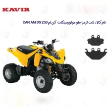 لنت ترمز عقب چهارچرخ مدل CAN AM DS مناسب برای کن ام دی اس 250