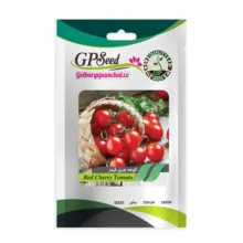 بذر صیفی جات گوجه گیلاسی و گوجه گلابی گلبرگ پامچال کد G-P-GP-012 مجموعه 12 عددی