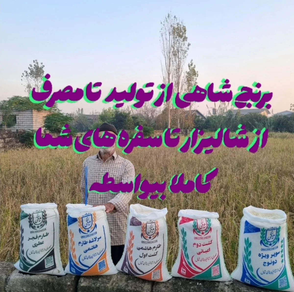 برنج ایرانی طارم علی کاظمی فریدونکنار شاهی - 5 کیلوگرم بسته 2 عددی