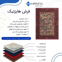 فرش ماشینی 1000 شانه هانوکس زمینه قهوه‌ای حاشیه چند رنگ مدل مدرن کد HAM.976.1