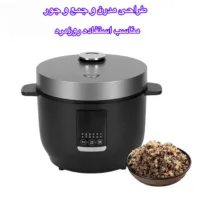 پلوپز 2 نفره مدل QC01