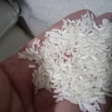 برنج دانه کامل درجه دو - ۱۰ کیلوگرم