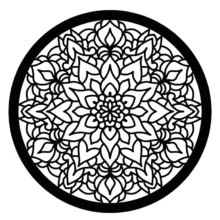 شابلون کد SP40-1