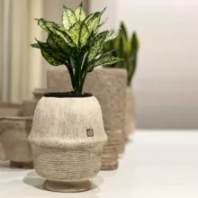 گلدان چوبی مدل تندیس