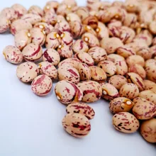 لوبیا چیتی اعلا فرنام - 750 گرم