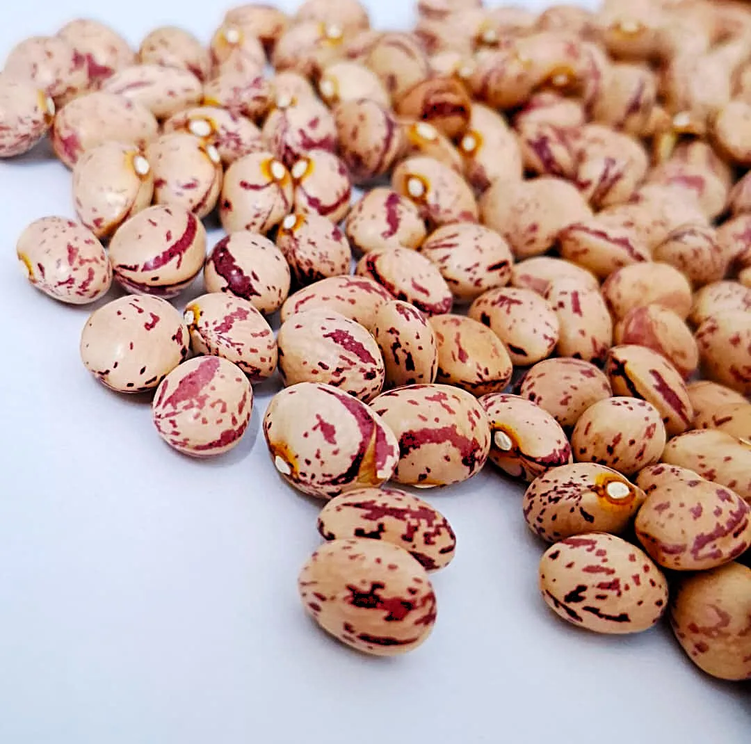 لوبیا چیتی اعلا فرنام - 750 گرم