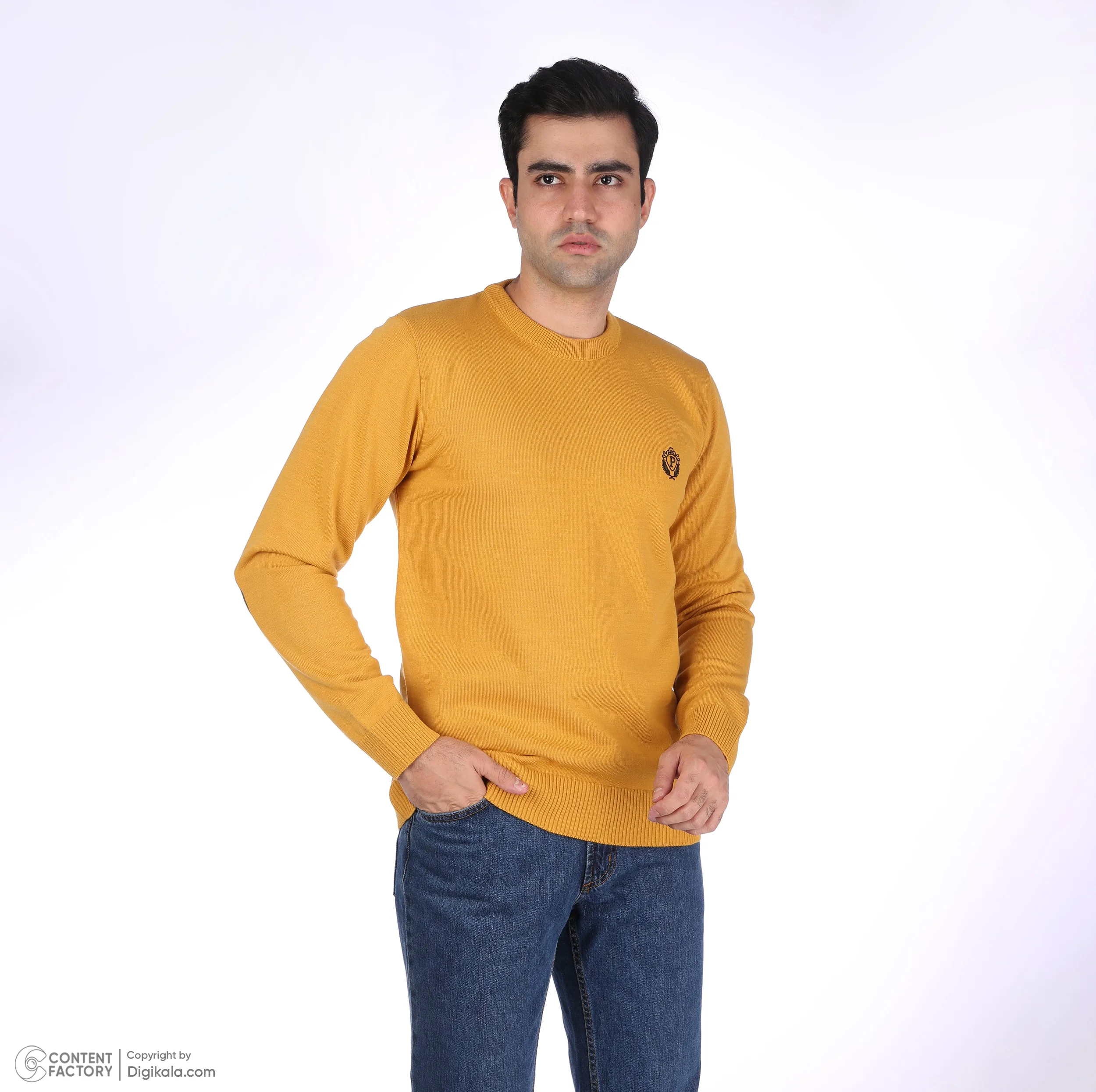 پلیور یقه گرد مردانه تریکو پاییزان مدل  PR700