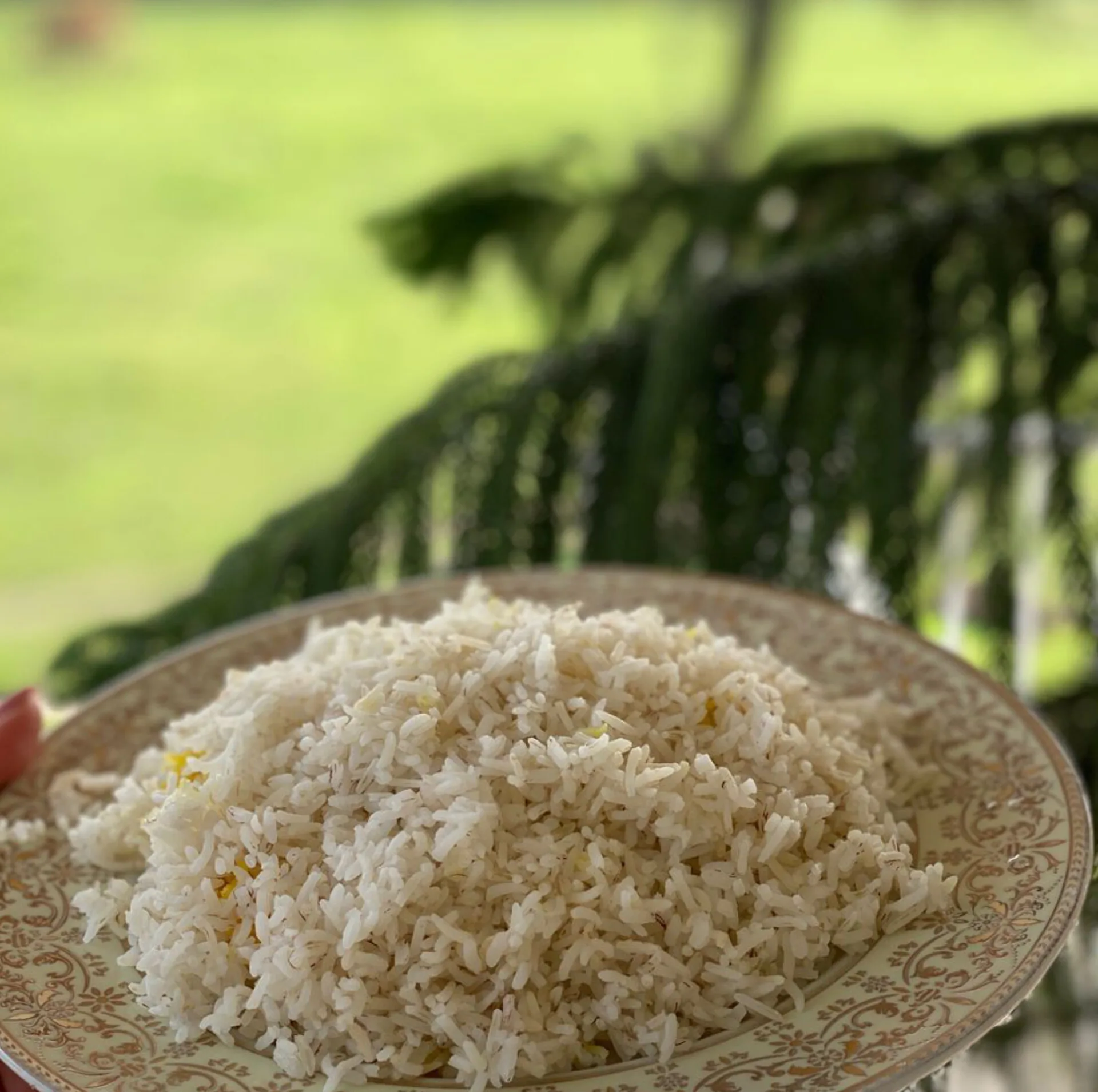 برنج هاشمی خالدار عطری - ۱۰ کیلوگرم