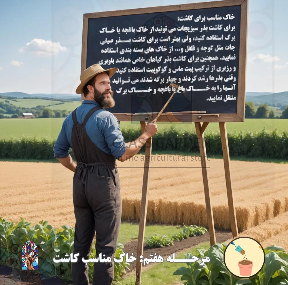 بذر کدو تنبل غول پیکر گلس گاردن مدل GL02