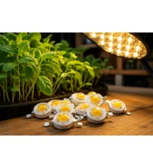 چیپ ال‌ای‌دی ۱ وات مدل D01-A1 بسته ۵۰ عددی