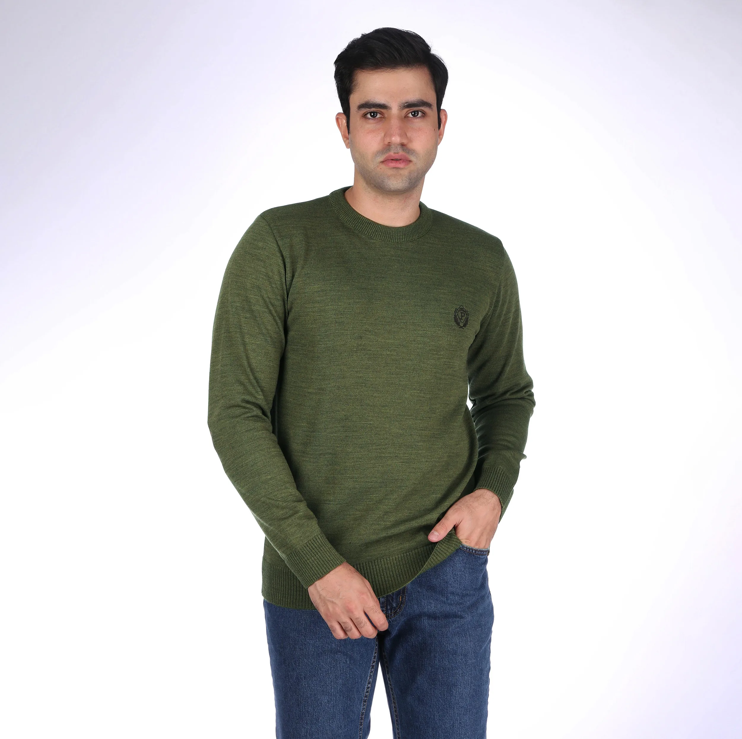 پلیور یقه گرد مردانه تریکو پاییزان مدل  PR700